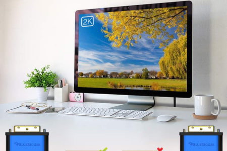 DVI to DVI Monitor Cable (25FT, 24+1 Dual Link, Digital Video Cable, Male to Male) - for Gaming, DVD, Laptops, HDTV and Projector