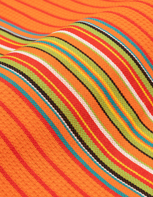 Load image into Gallery viewer, Salsa Stripe Kitchen Towels
