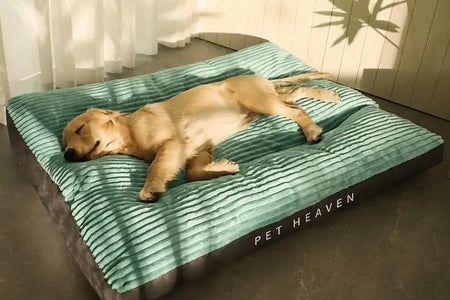 XXL Dog Bed Kennel Extra Thickened Deluxe Dog Bed Kennel - Pet Bed, Anti-bite, Anti-dirt, Soft and Comfortable, Four-season Use,