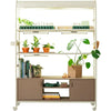 plant shelves