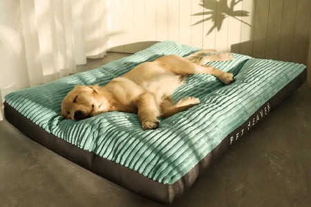 XXL Dog Bed Kennel Extra Thickened Deluxe Dog Bed Kennel - Pet Bed, Anti-bite, Anti-dirt, Soft and Comfortable, Four-season Use,